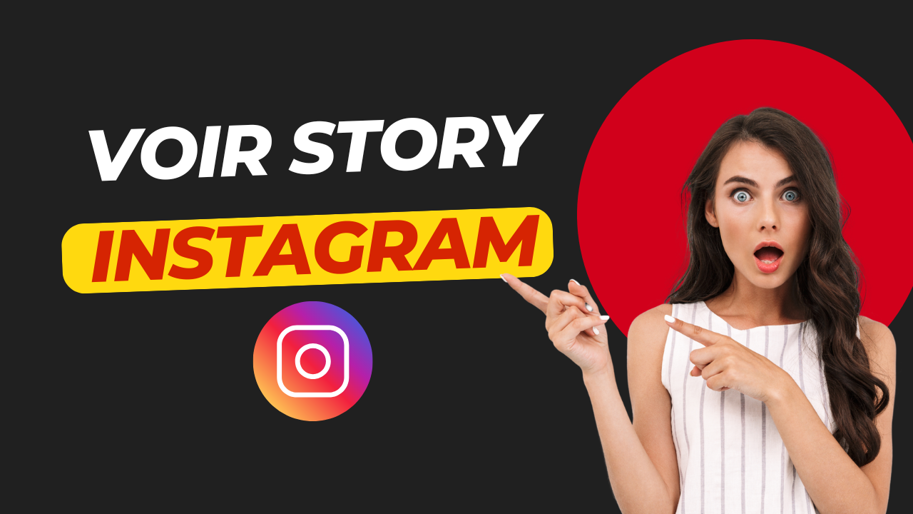 voir story instagram