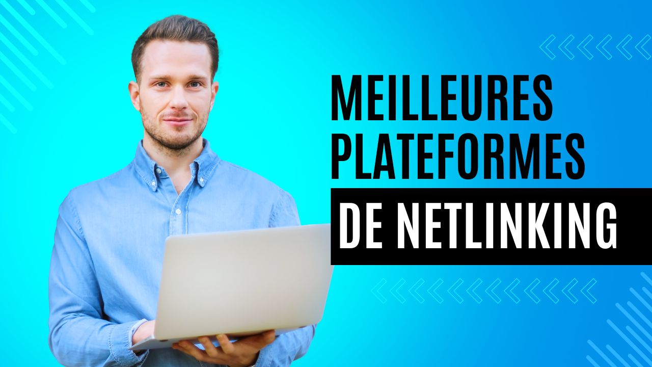 Plateforme de Netlinking