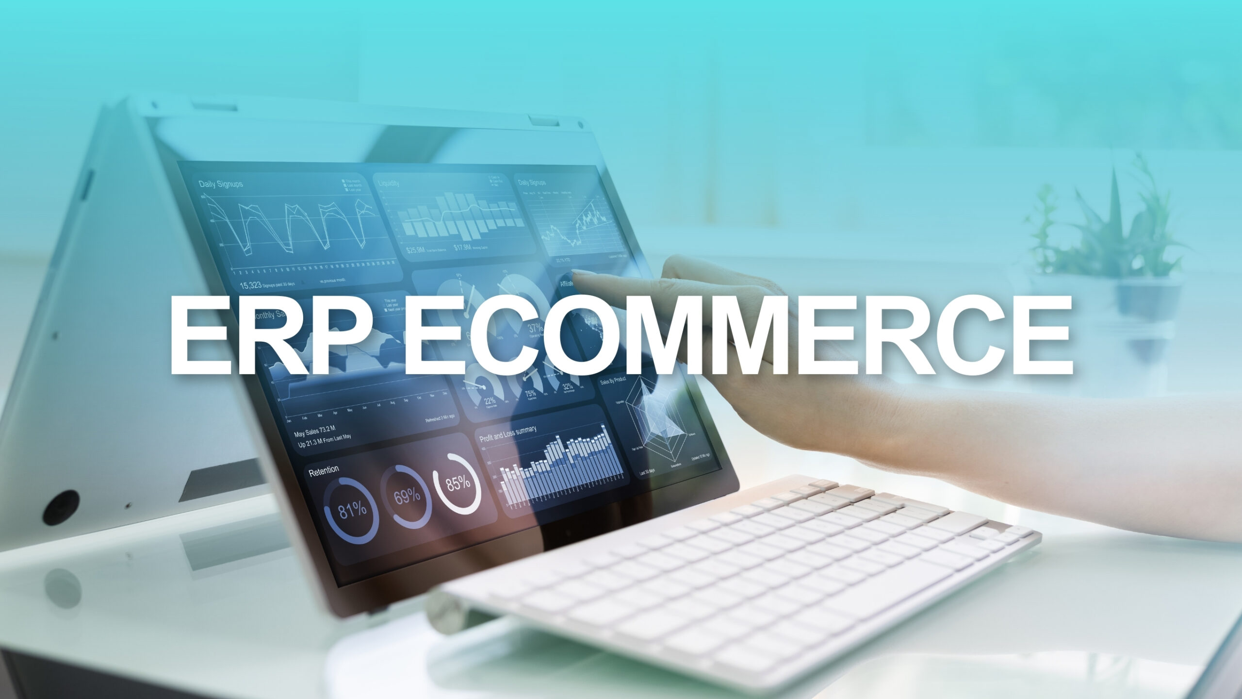 erp ecommerce